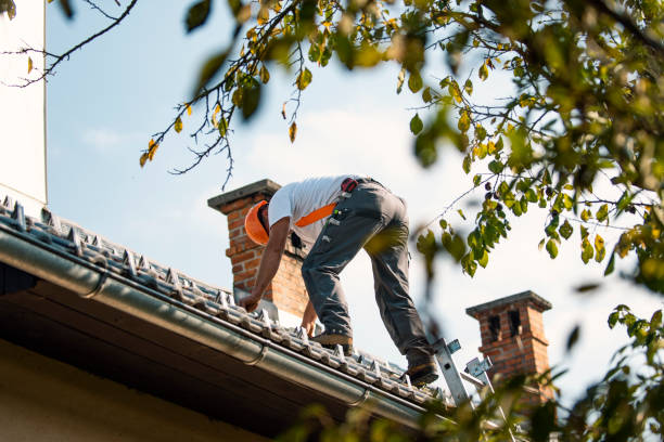Trusted Colonial Heights, TN Roofing Contractor Experts
